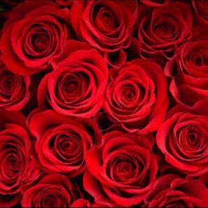 Meet your Posher, Wafaa